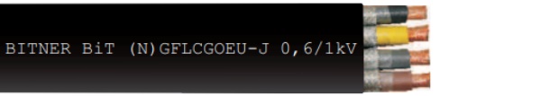 BiT (N)GFLCGOEU-J
